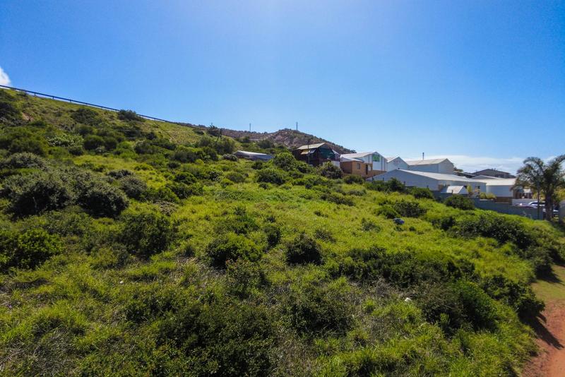 0 Bedroom Property for Sale in Diaz Industria Western Cape